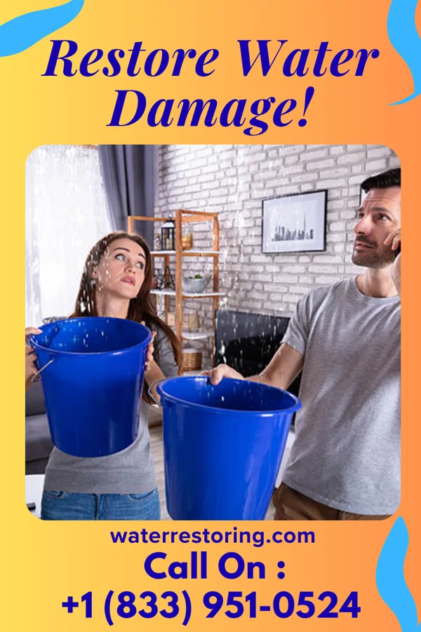 water restoration Empire Water Damage & Sons Dorseyville