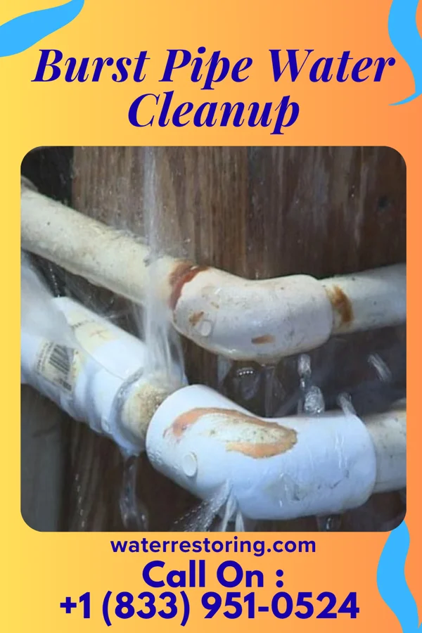 Burst Pipe Water Cleanup in Dorseyville, LA