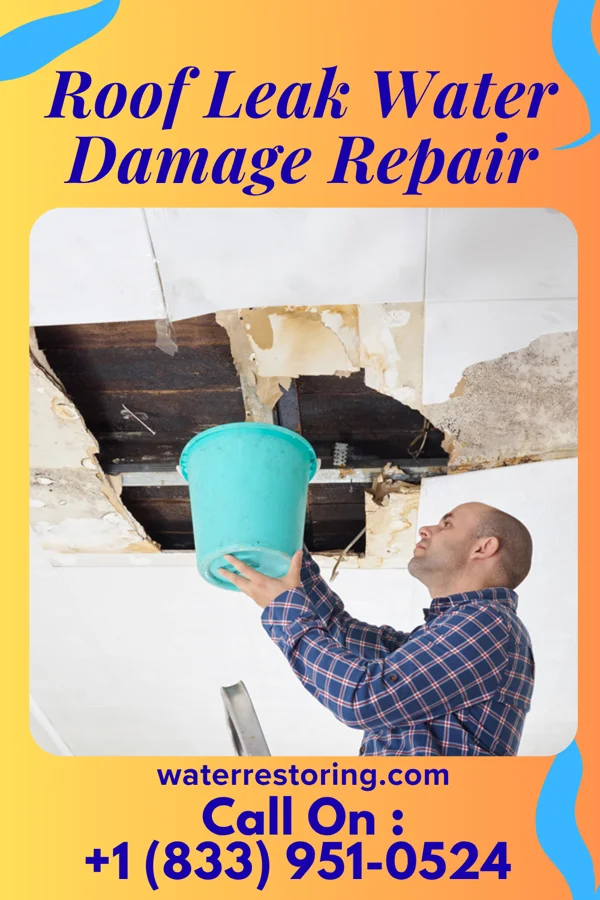 Roof Leak Water Damage Repair in Dorseyville, LA